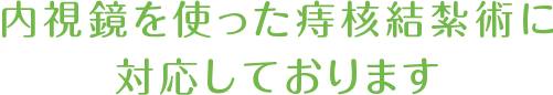 内視鏡を使った痔核結紮術に対応しております